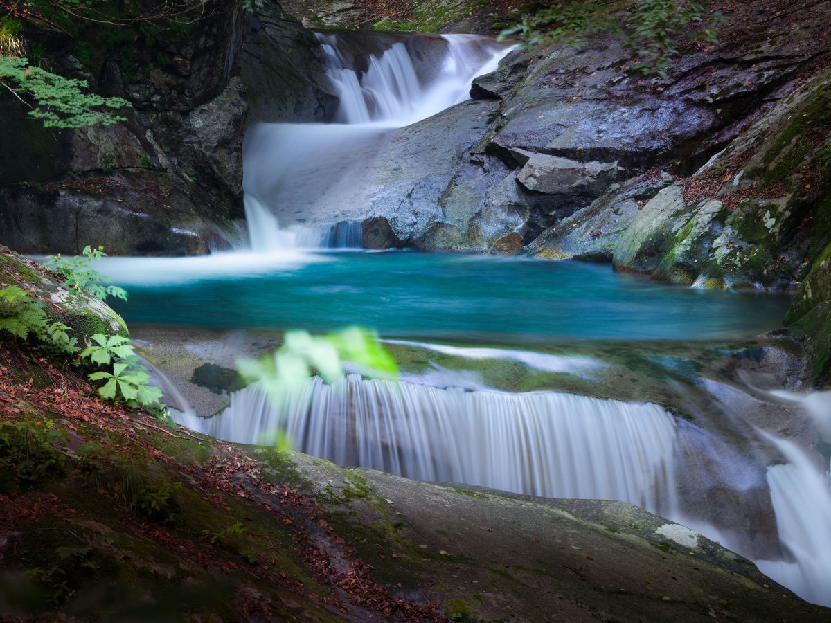 FUJIFILM GFX100で撮影された写真 | 写真検索 | GANREF