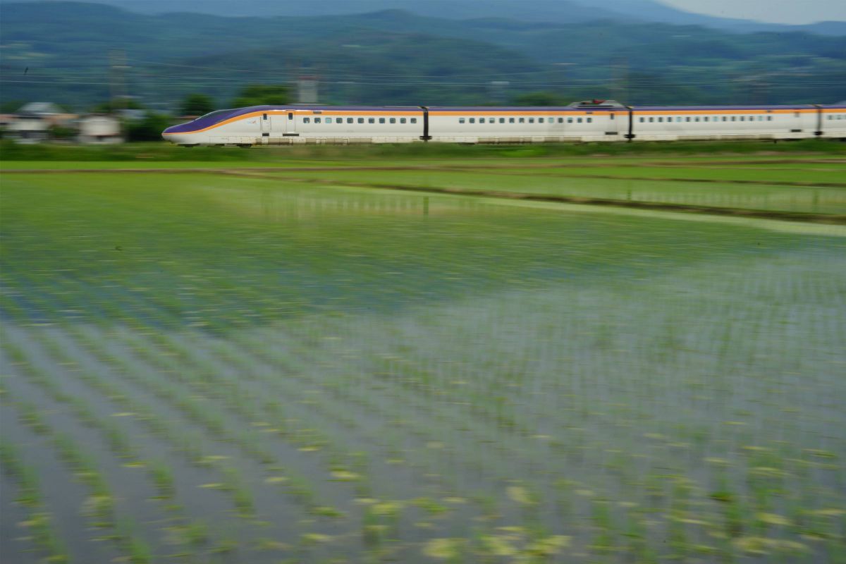 28-105mm F2.8-4 ASPHERICALで撮影された写真 | 写真検索 | GANREF
