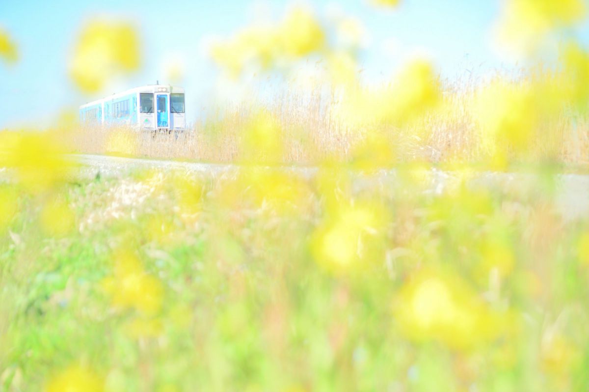28-105mm F2.8-4 ASPHERICALで撮影された写真 | 写真検索 | GANREF