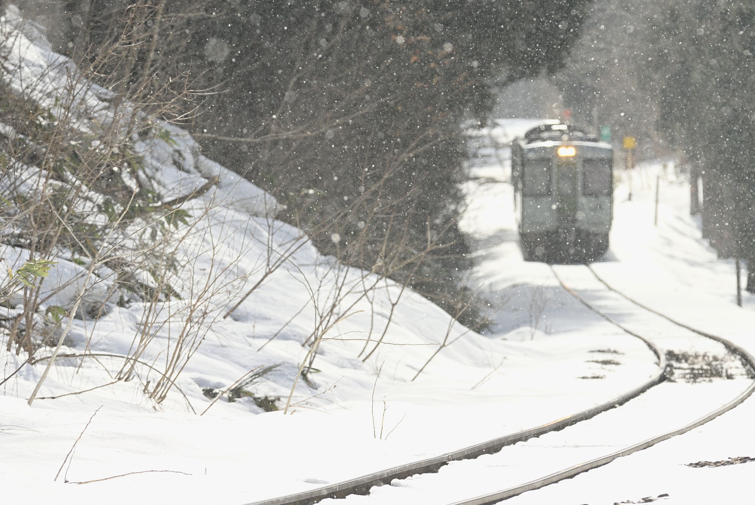 なごり雪 | GANREF