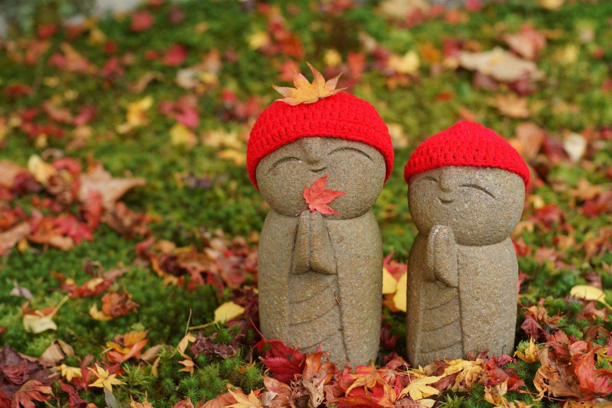 NOKTON 58mm F1.4 SL II Sで撮影された写真 | 写真検索 | GANREF