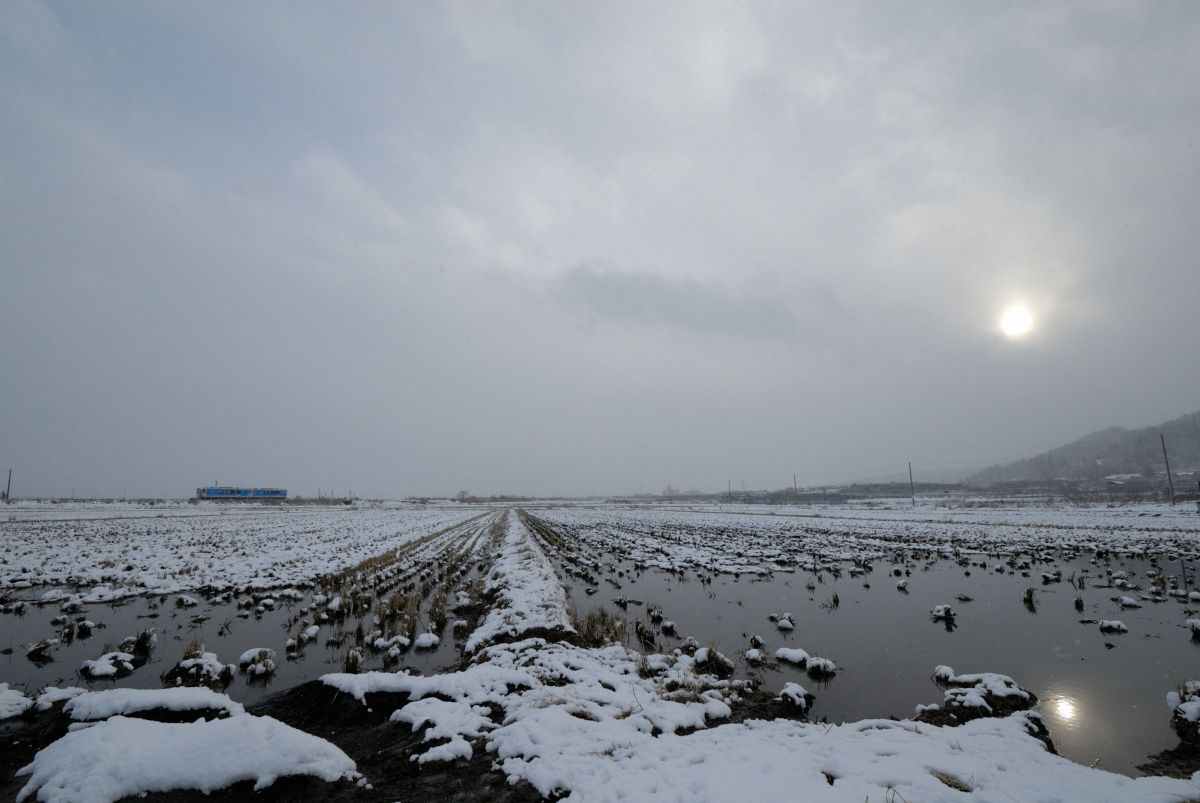 MDAwMDA1ODE4Nw_MC43NzgyNDEwMCA