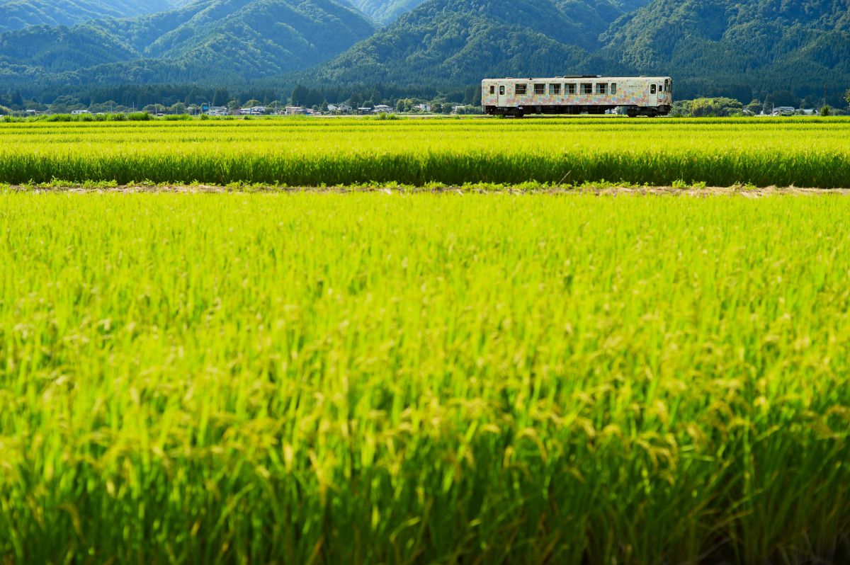 fl58f1.2　作例あり NIKKOR Z 14-24mm f/2.8 Sで撮影された写真 | 写真検索 | GANREF