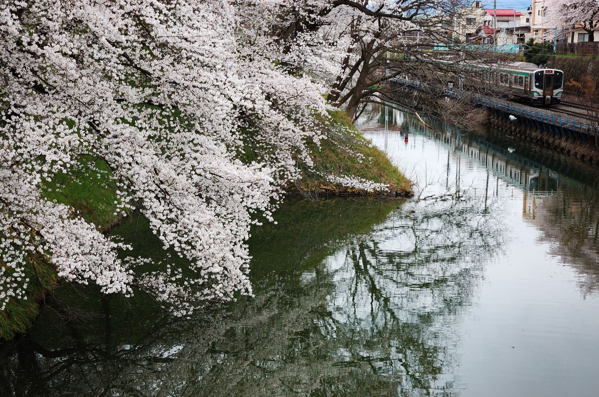 AF-S DX Zoom-Nikkor 18-70mm f/3.5-4.5G IF-EDで撮影された写真