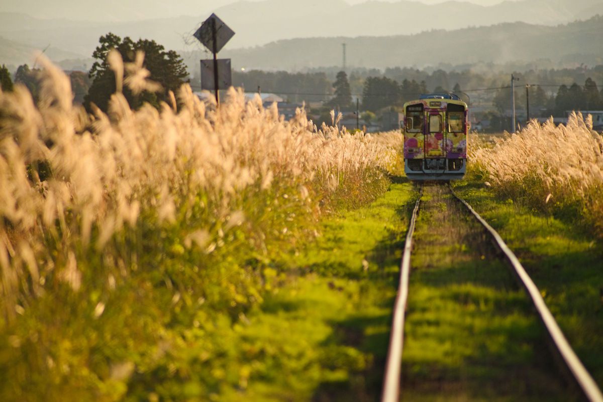 AT-X 400 AFで撮影された写真 | 写真検索 | GANREF