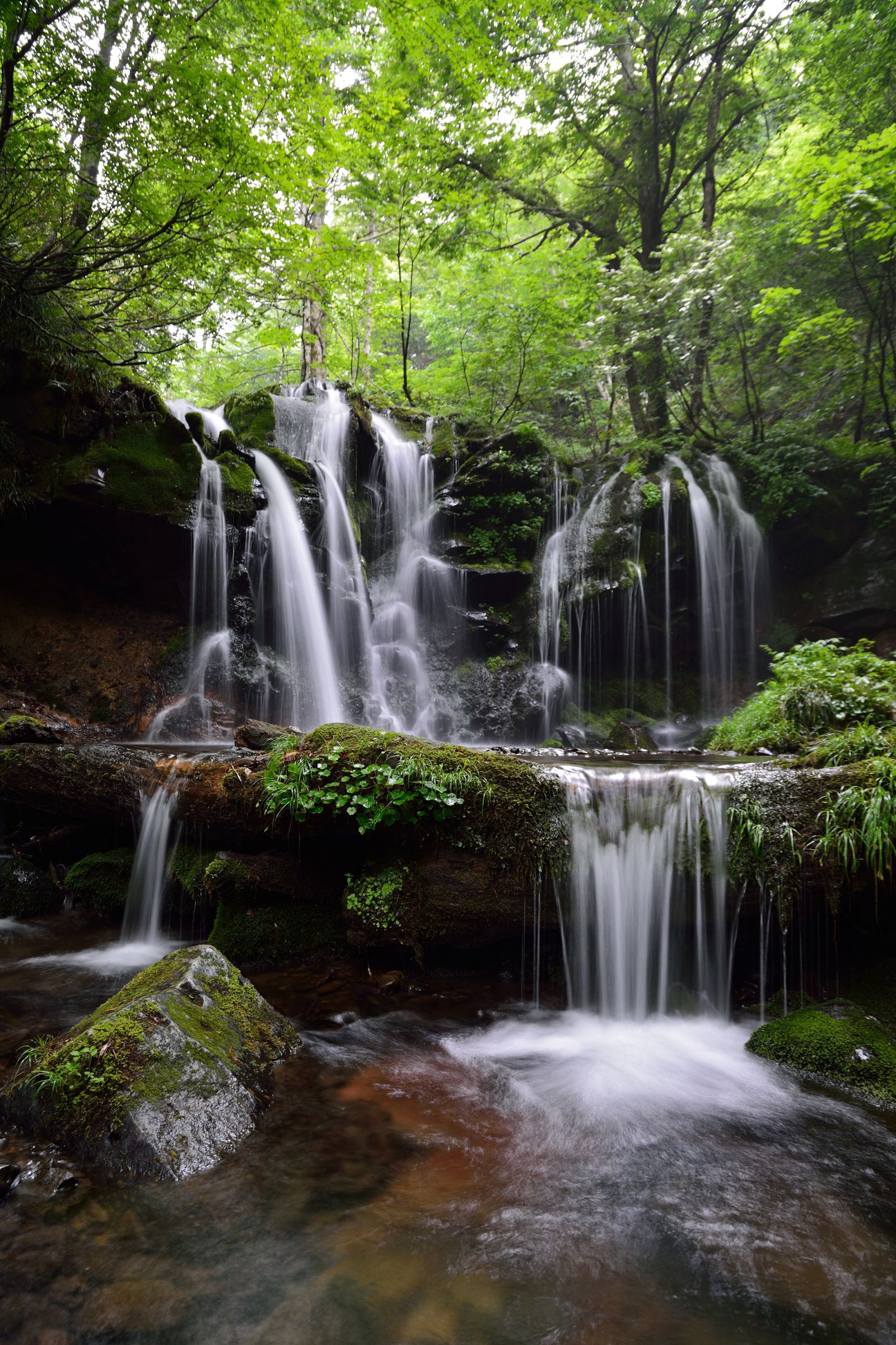 奈良県、蜻蛉(せいれい)の滝へ。何度も逆鱗に触れながら
