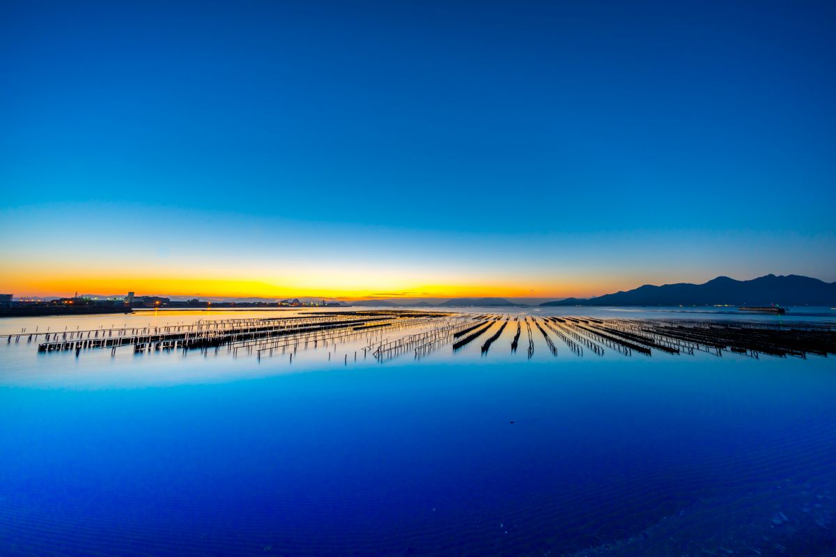 冬の朝 自然 風景 海 Ganref 冬の朝 自然 風景 海 Ganref