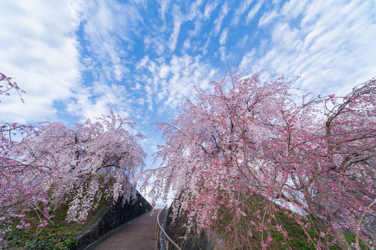 Ai AF Nikkor 14mm f/2.8D EDで撮影された写真 | 写真検索 | GANREF Ai AF Nikkor 14mm f/2.8D EDで撮影された写真 | 写真検索 | GANREF