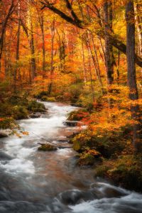 奥入瀬　リトグラフ 5670_db913ed2b26b279192b271fb3