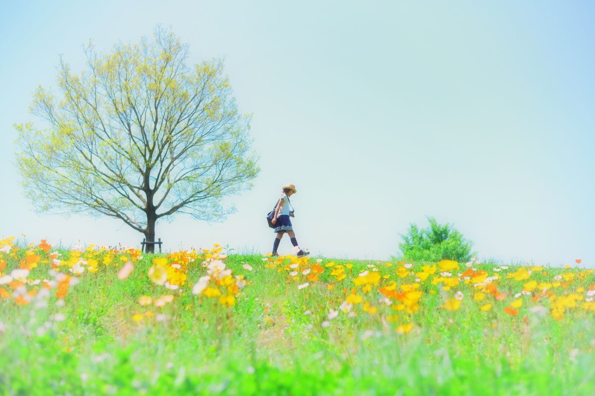 AF-S NIKKOR 50mm f/1.8Gで撮影された写真 | 写真検索 | GANREF