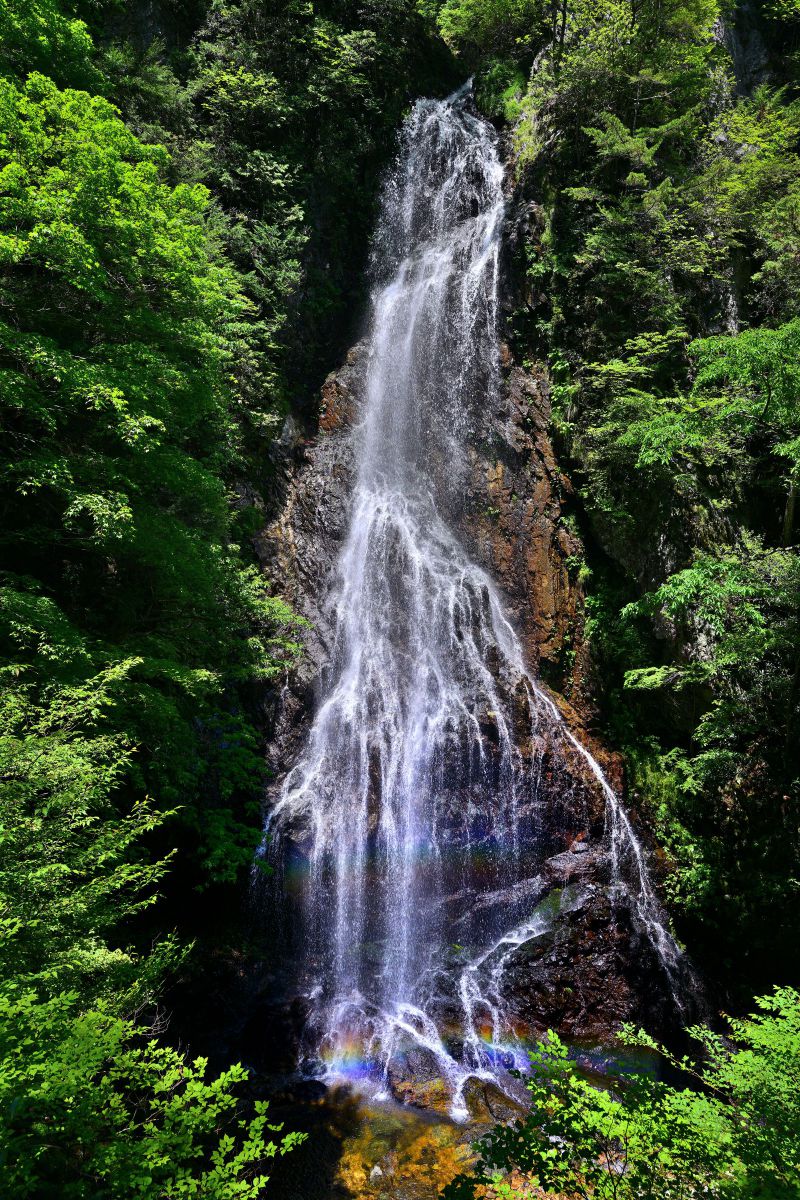 参考写真2 MDAwMDAwMjYwNw_MC4zNTY1MjgwMCA