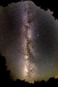 みんみん　❀天のメタリック∞龍天の川❀ みんみん様専用 ❀天のメタリック∞龍天の川❀