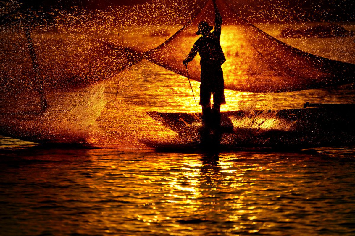 70-300mm F4.5-5.6 G SSM IIで撮影された写真 | 写真検索 | GANREF