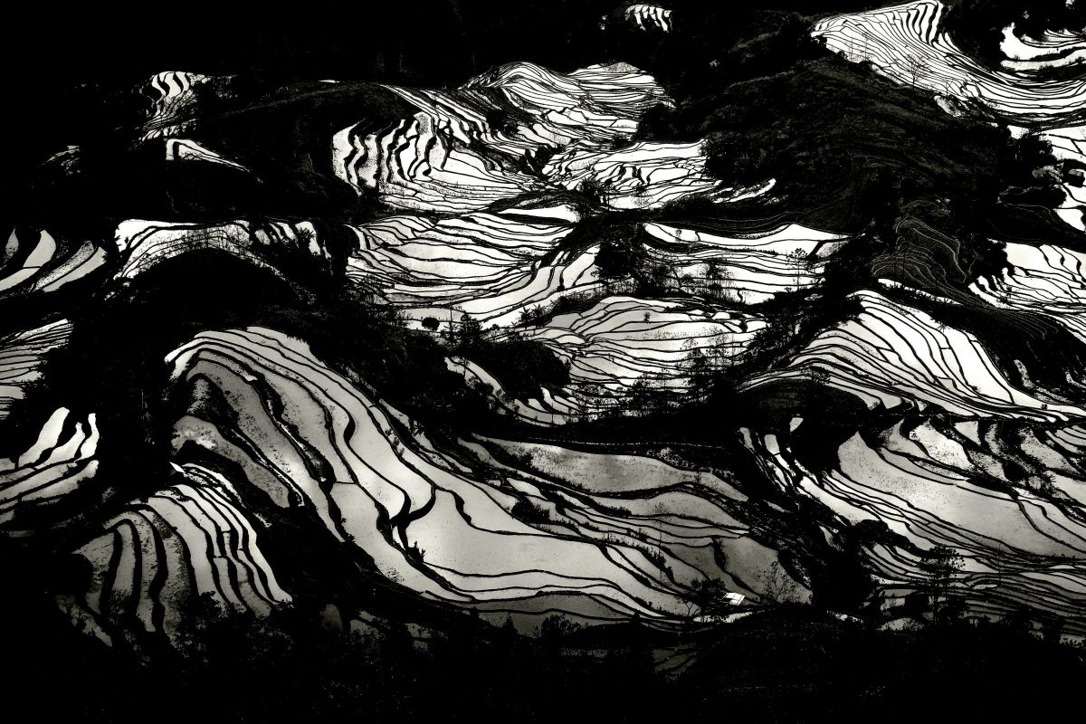 AF28-300mm F/3.5-6.3 XR Di LD Aspherical ［IF］ MACROで撮影された