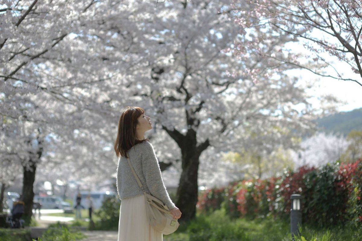 AF-S VR Zoom-Nikkor ED 70-200mm F2.8G（IF）で撮影された写真 | 写真