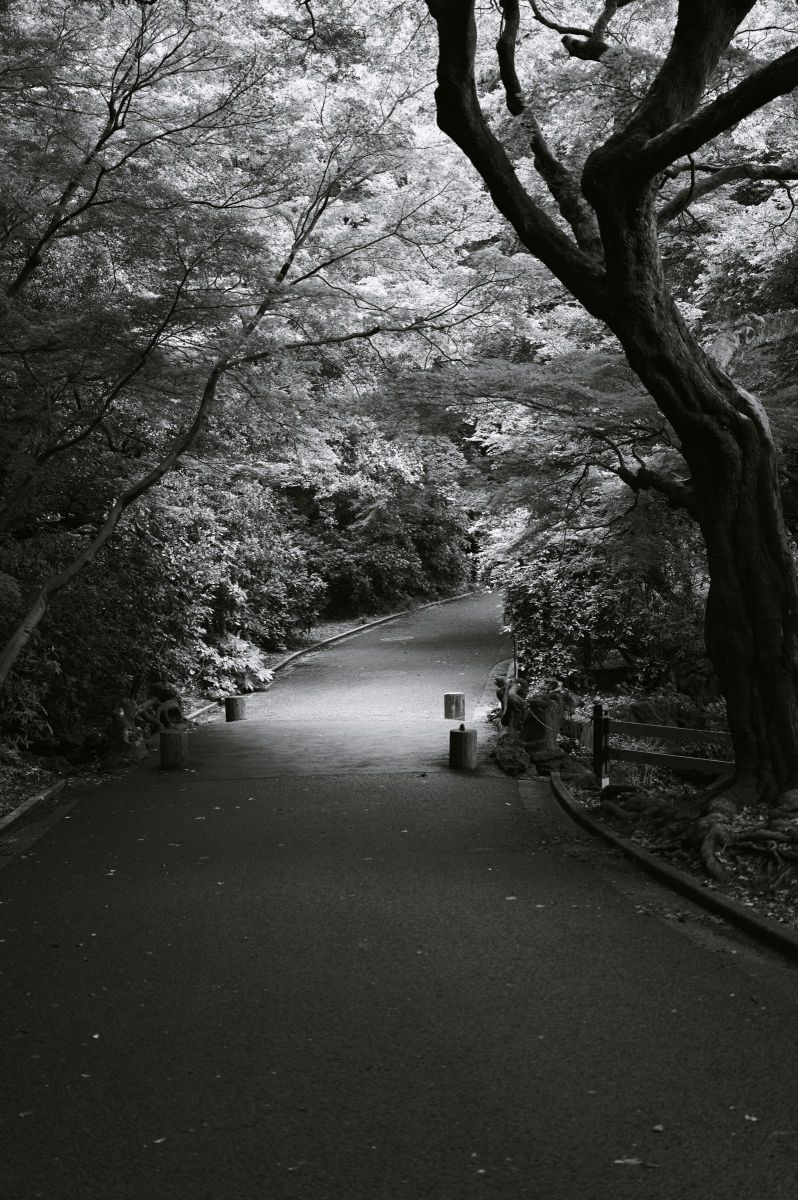 The road to the future | GANREF