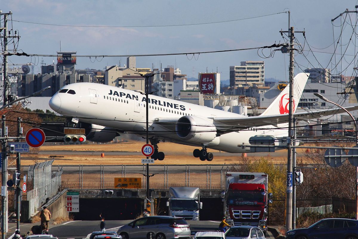 EOS R6 markII ボディ 使用:1回 シャッター回数:4550 EOS R6 markII ボディ 使用:1回 シャッター回数:4550 シャッター