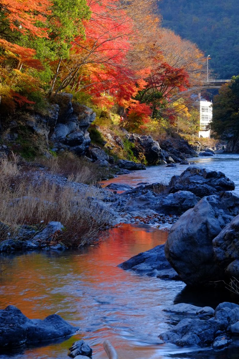 御岳渓谷 紅葉 自然 風景 河川 Ganref