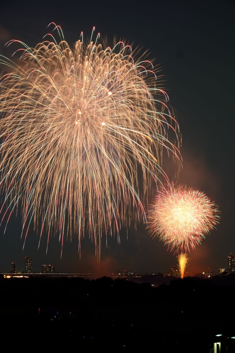 戸田橋花火大会 日本 関東地方 Ganref
