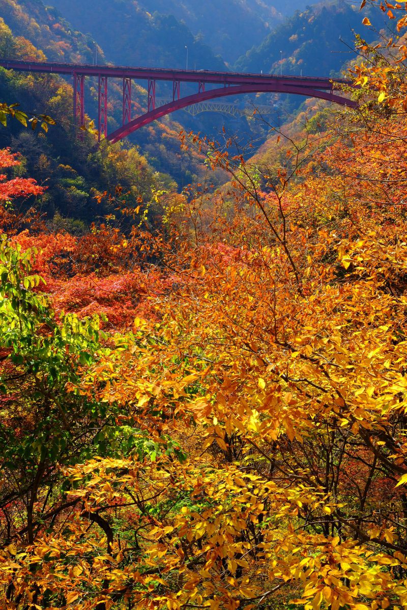 奥秩父・滝川渓谷の紅葉 | GANREF