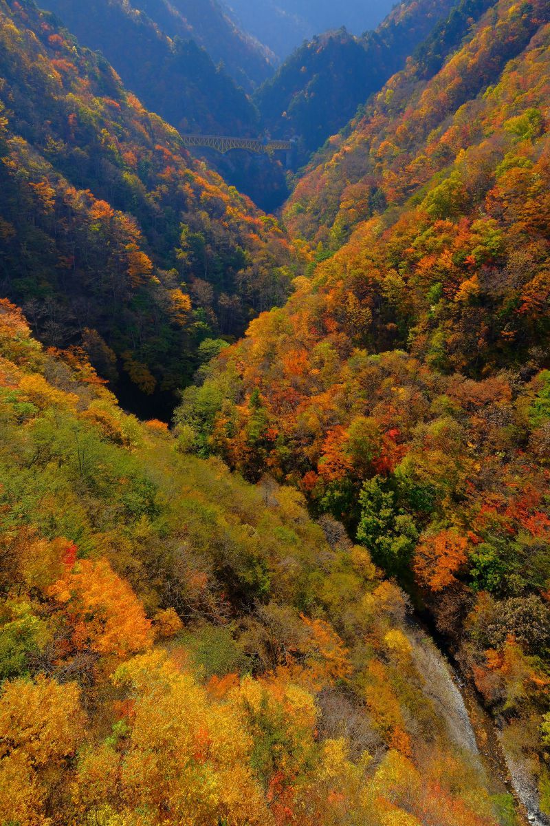 No.4【秋の玉川渓谷】 No.4【秋の玉川渓谷】 錦秋の雑魚川渓谷 | GANREF