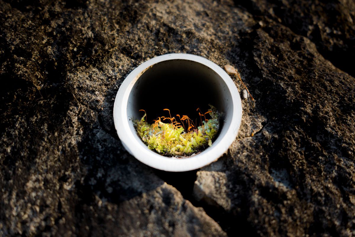 FE 28-60mm F4-5.6で撮影された写真 | 写真検索 | GANREF