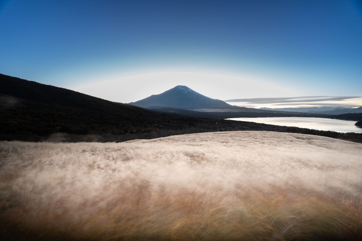 FE PZ 16-35mm F4 Gで撮影された写真 | 写真検索 | GANREF