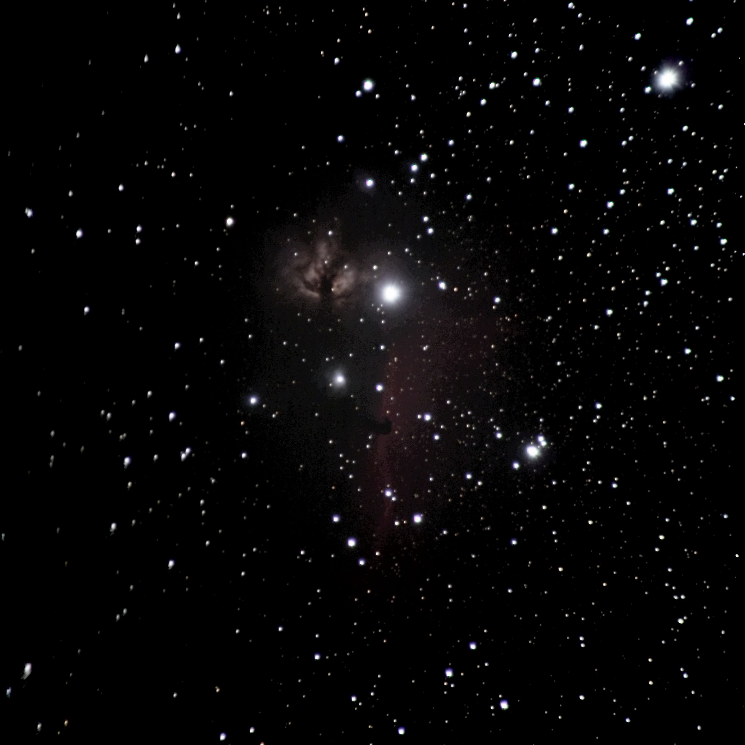 オリオン座の 馬頭星雲(IC434)と燃える木(NGC2024) | GANREF