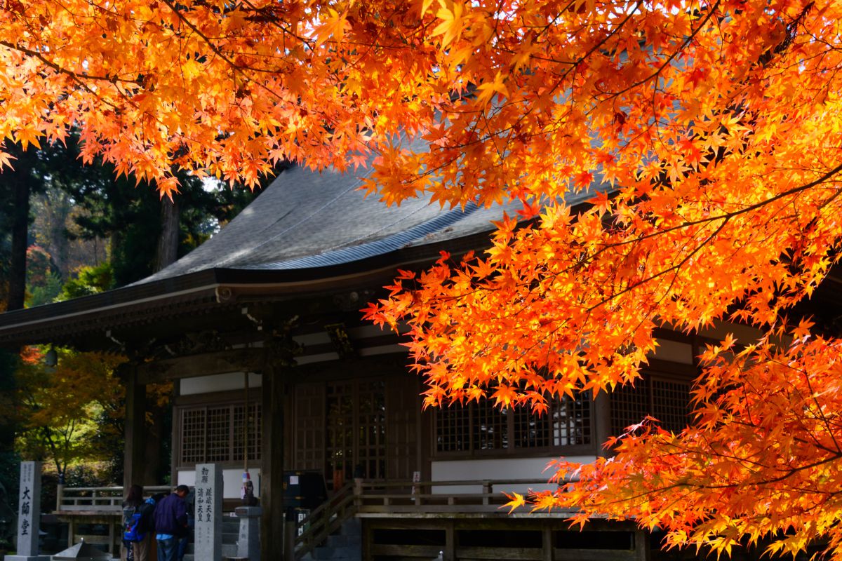 移りゆく季節の中で 街並み 建物 神社 寺 教会 Ganref