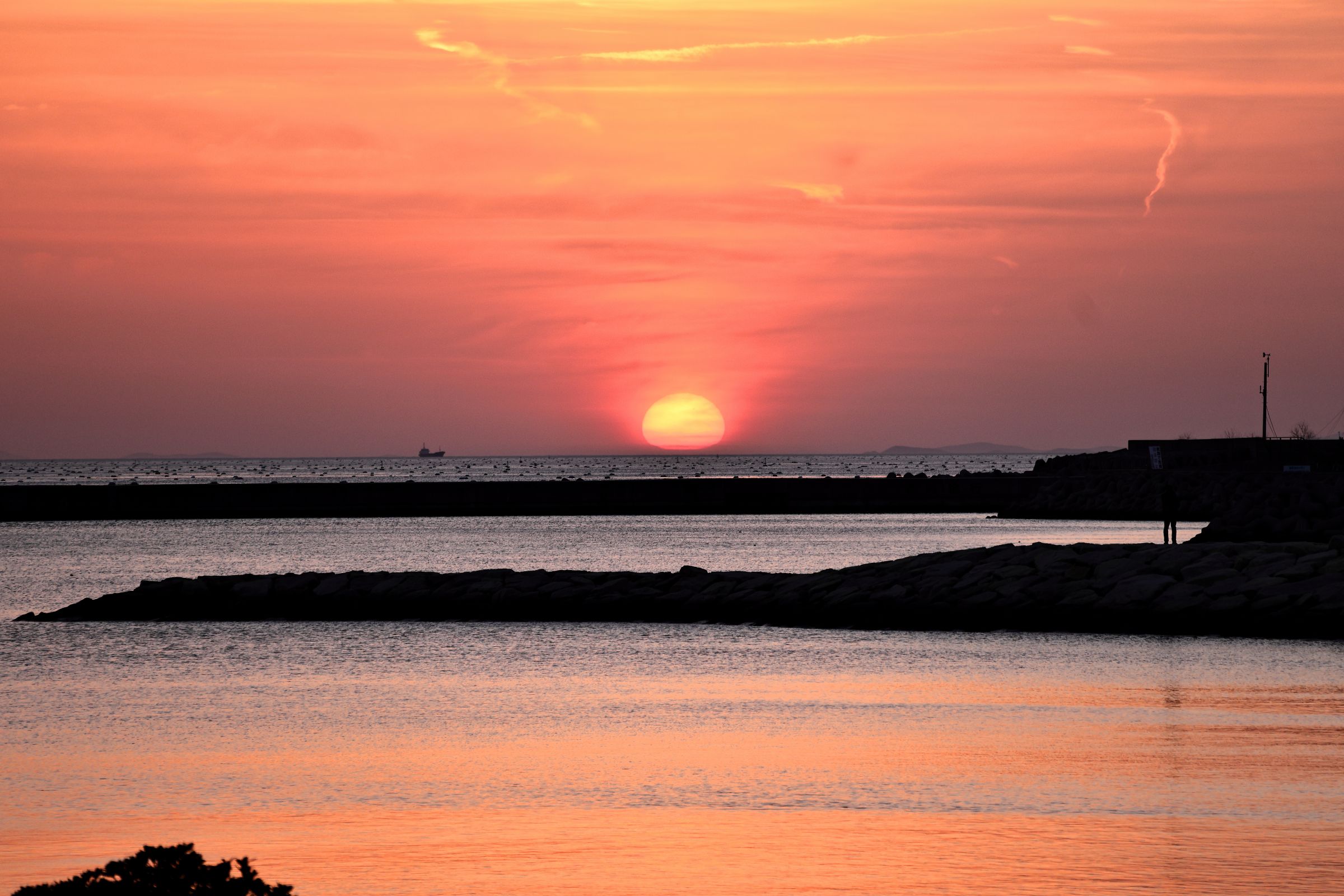 夕陽と海と | GANREF