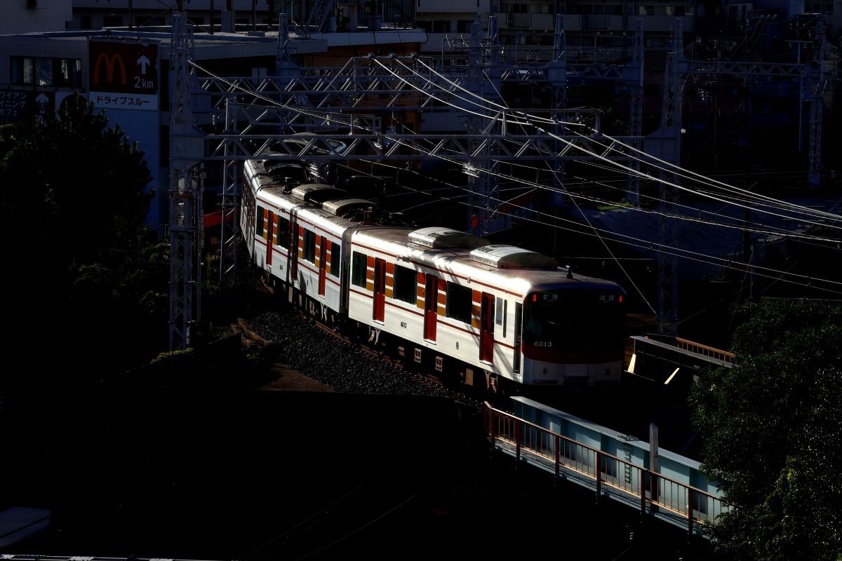 RF-S55-210mm F5-7.1 IS STMで撮影された写真 | 写真検索 | GANREF