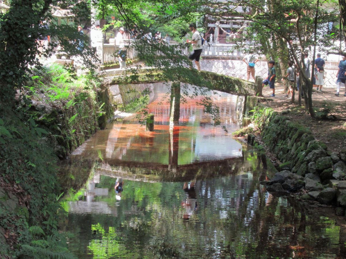 PowerShot SX620 HSで撮影された写真 | 写真検索 | GANREF