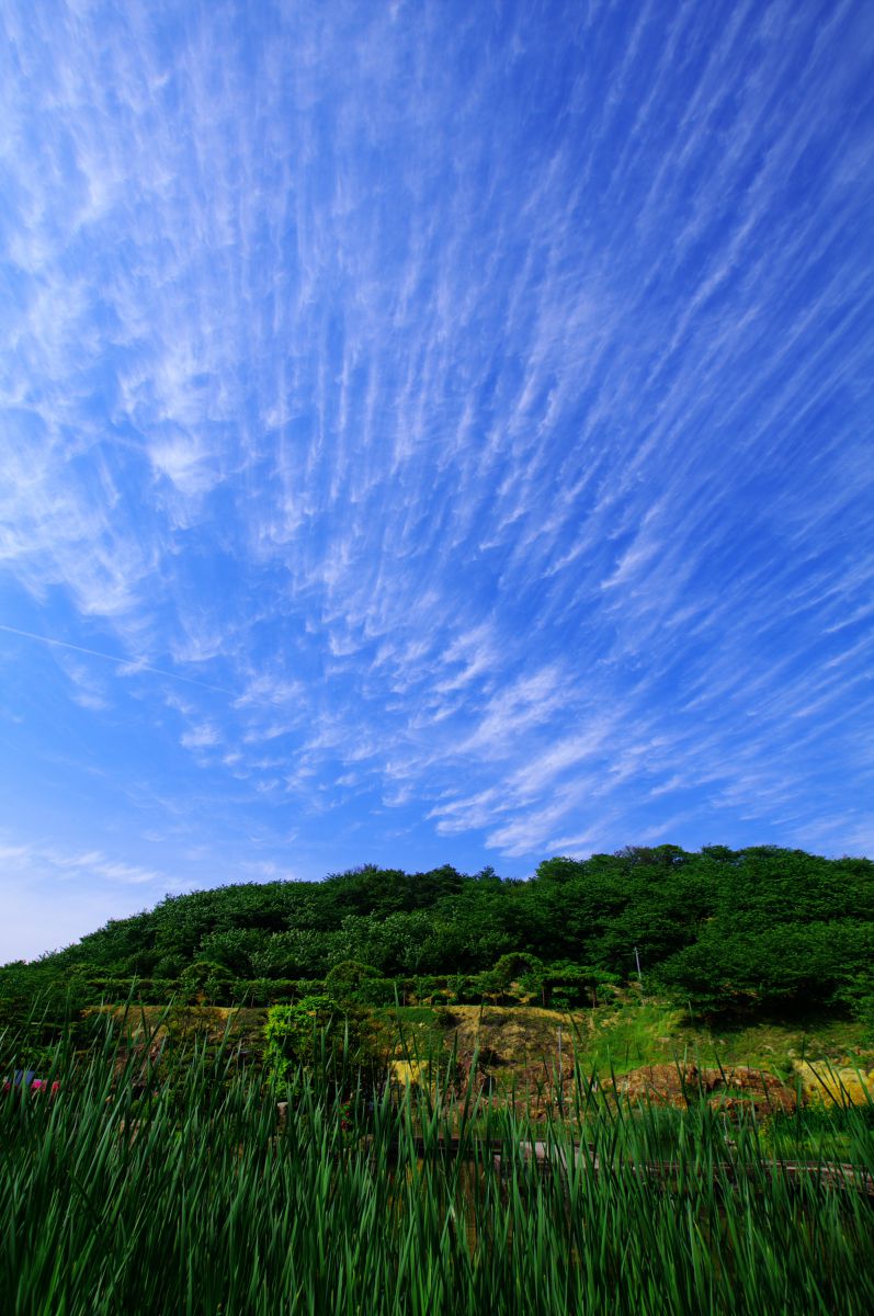 すじ雲 自然 風景 空 雲 Ganref