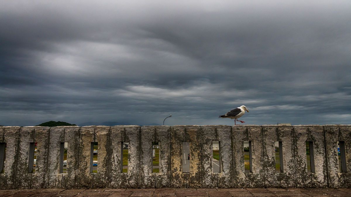 ワンマンショー GANREF