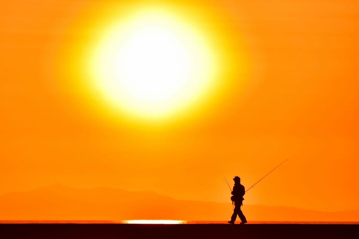 D7200で撮影された写真 | 写真検索 | GANREF