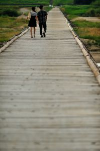 秋は夕暮れ | GANREF