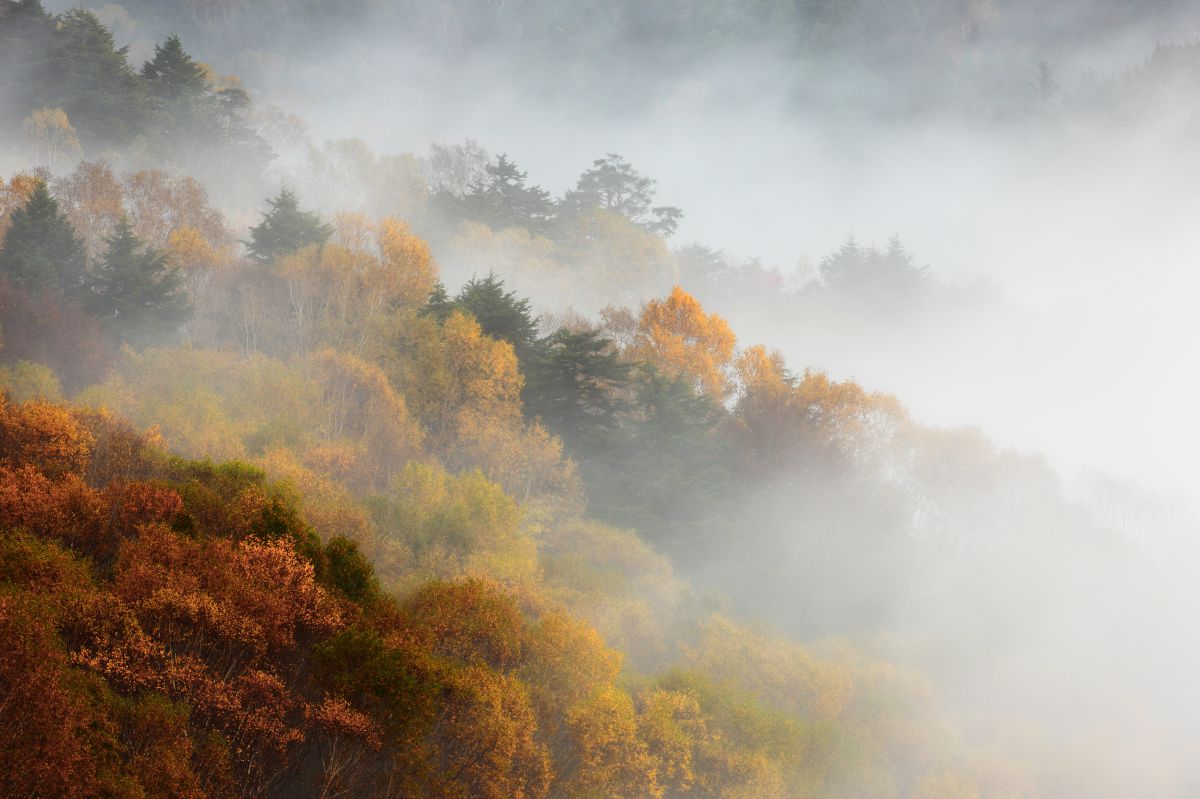 山装う 自然 風景 山 Ganref
