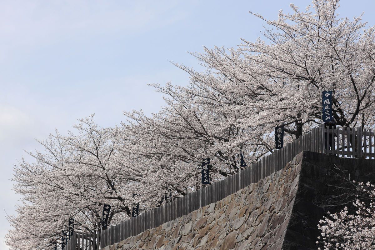 EF200mm F2.8L II USMで撮影された写真 | 写真検索 | GANREF