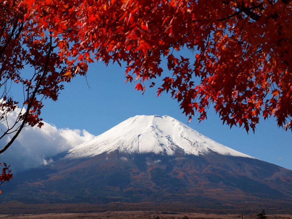 富士山 秋 紅葉 植物 紅葉 Ganref