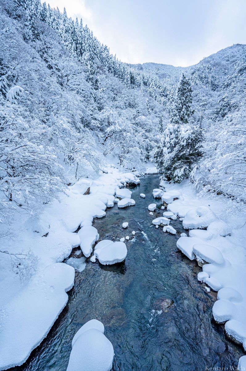 朽木村の冬 GANREF