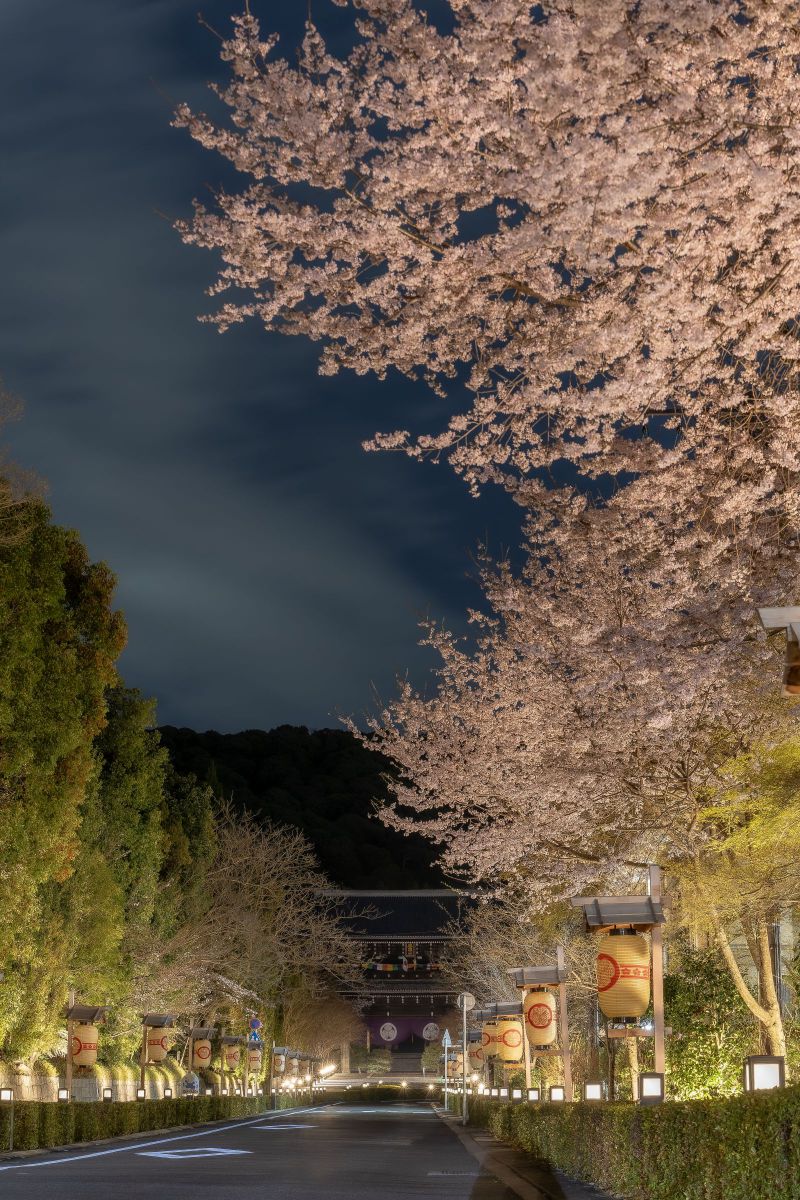 知恩院さんへの道 GANREF