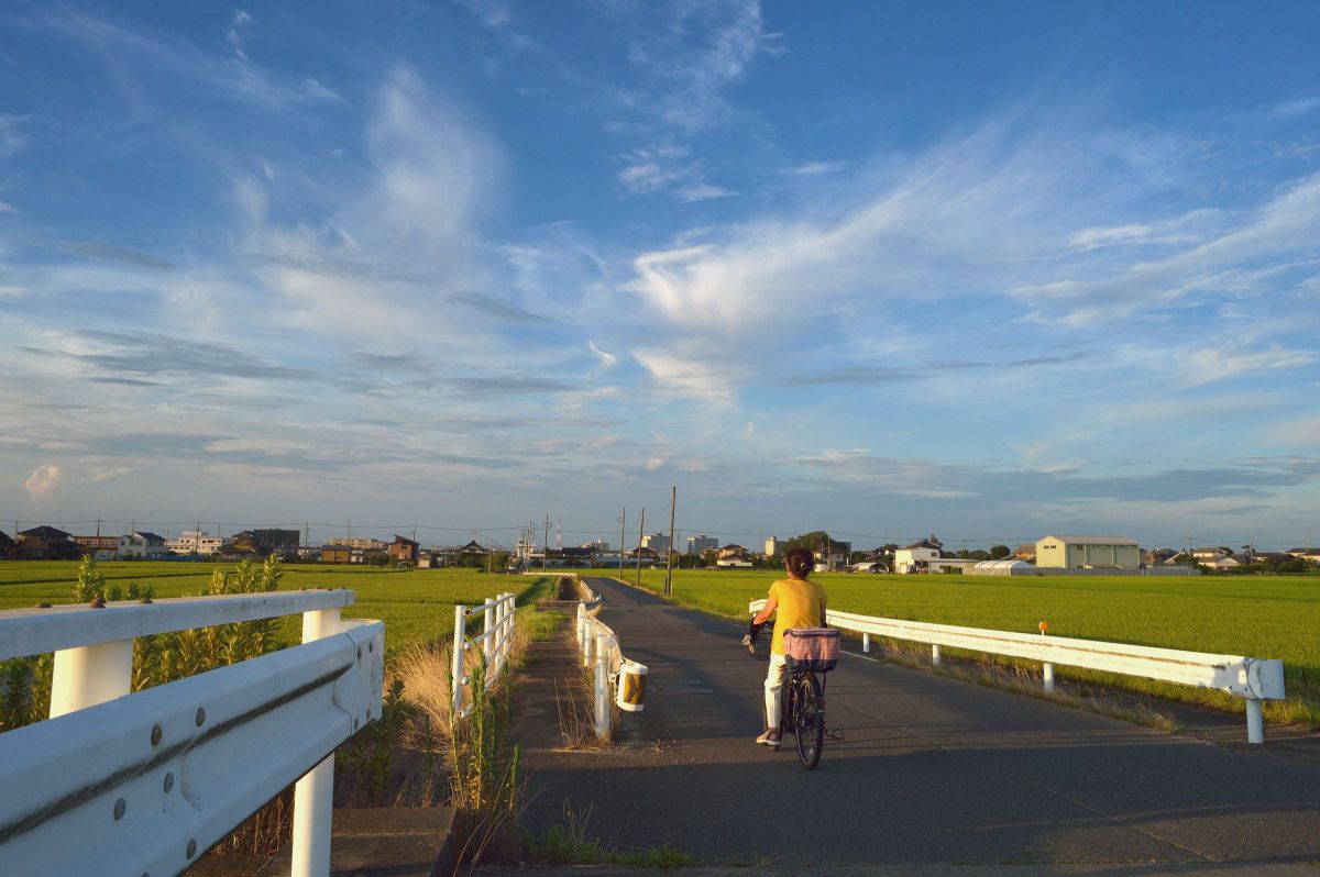 田園の風景(new)デジタル版3 | GANREF