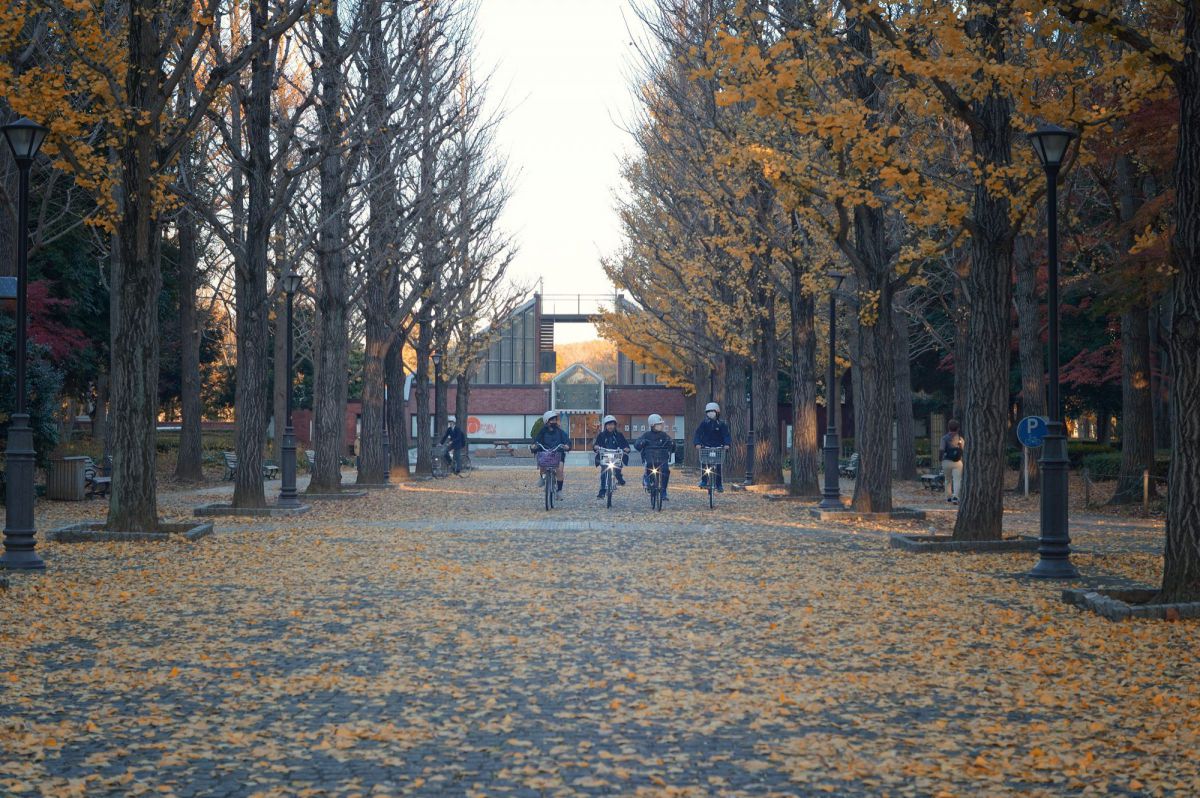初冬の風景 | GANREF