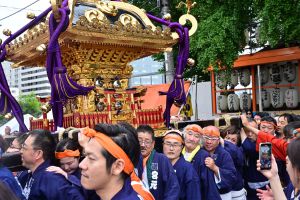 写真 サムネイル