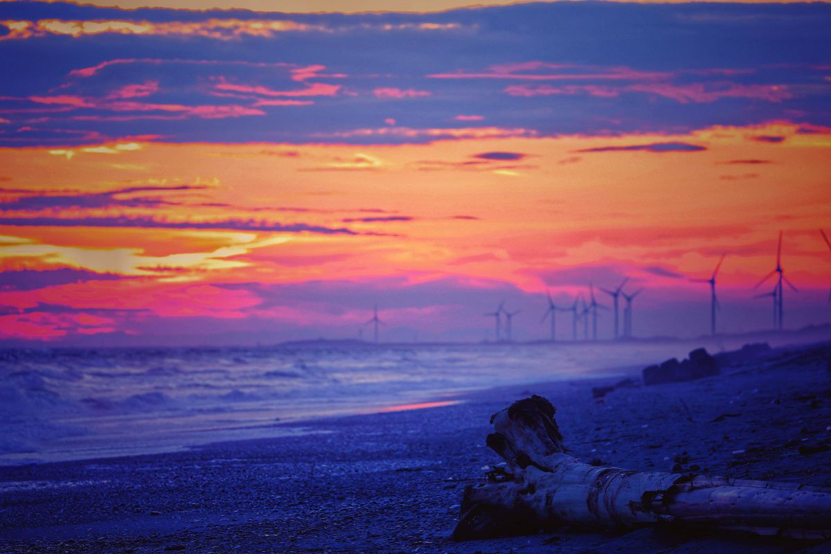 Sunset beach with driftwood | GANREF