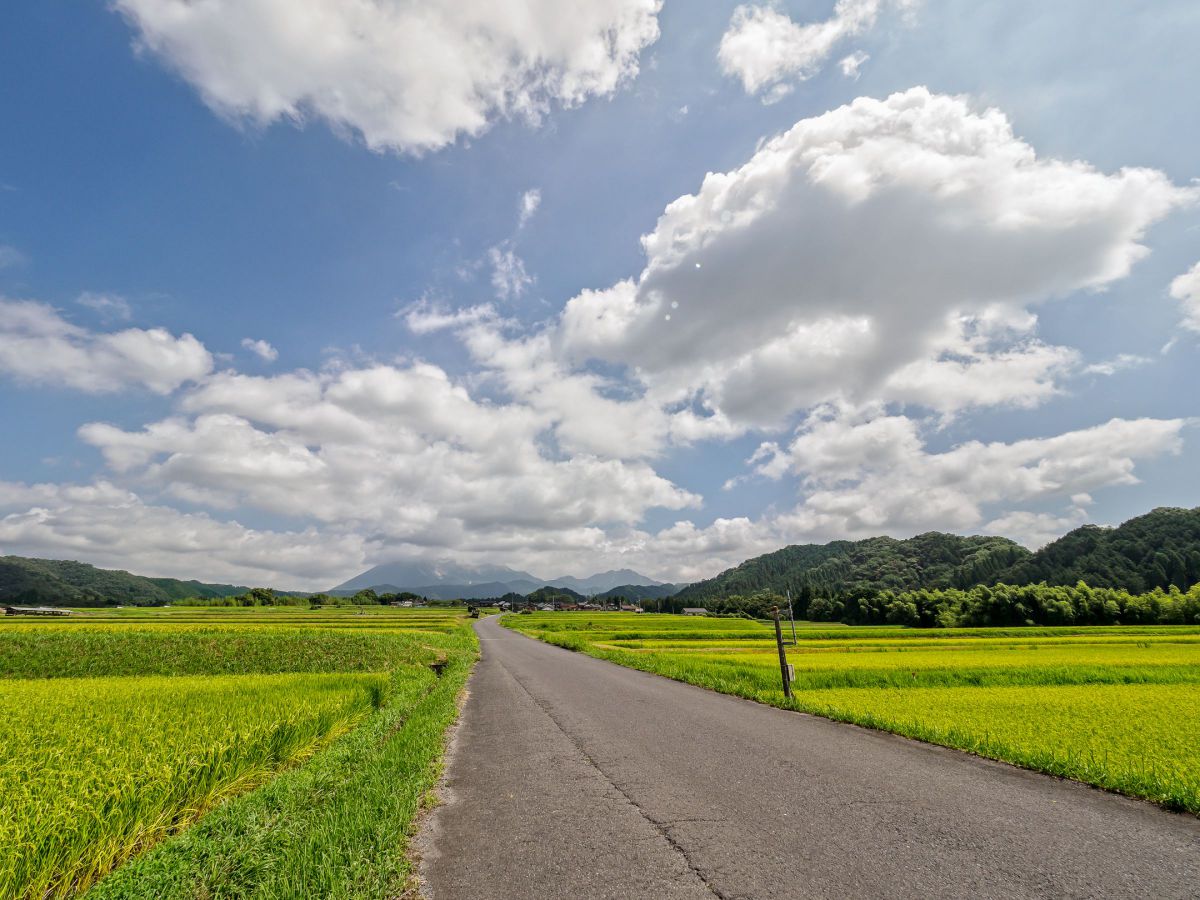 一本道 自然 風景 山 Ganref