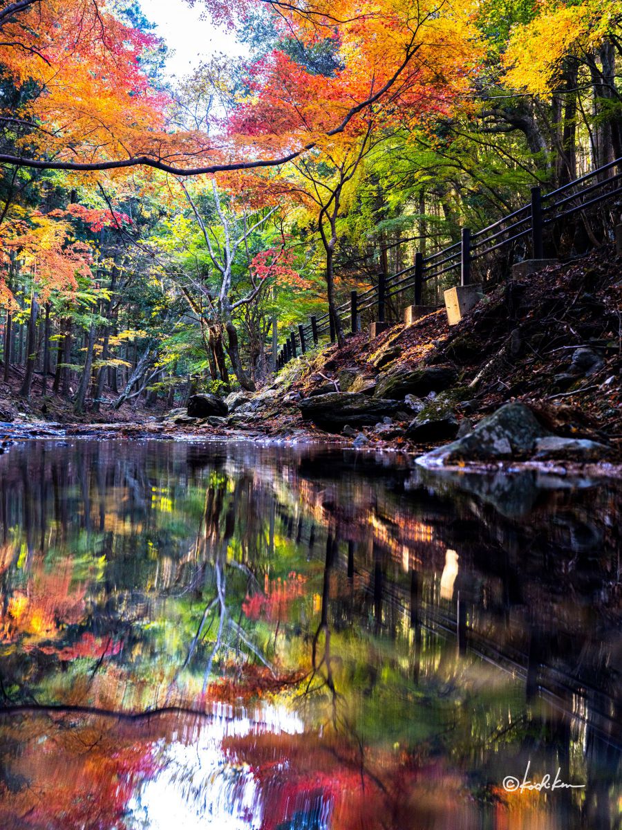 Autumn reflection | GANREF