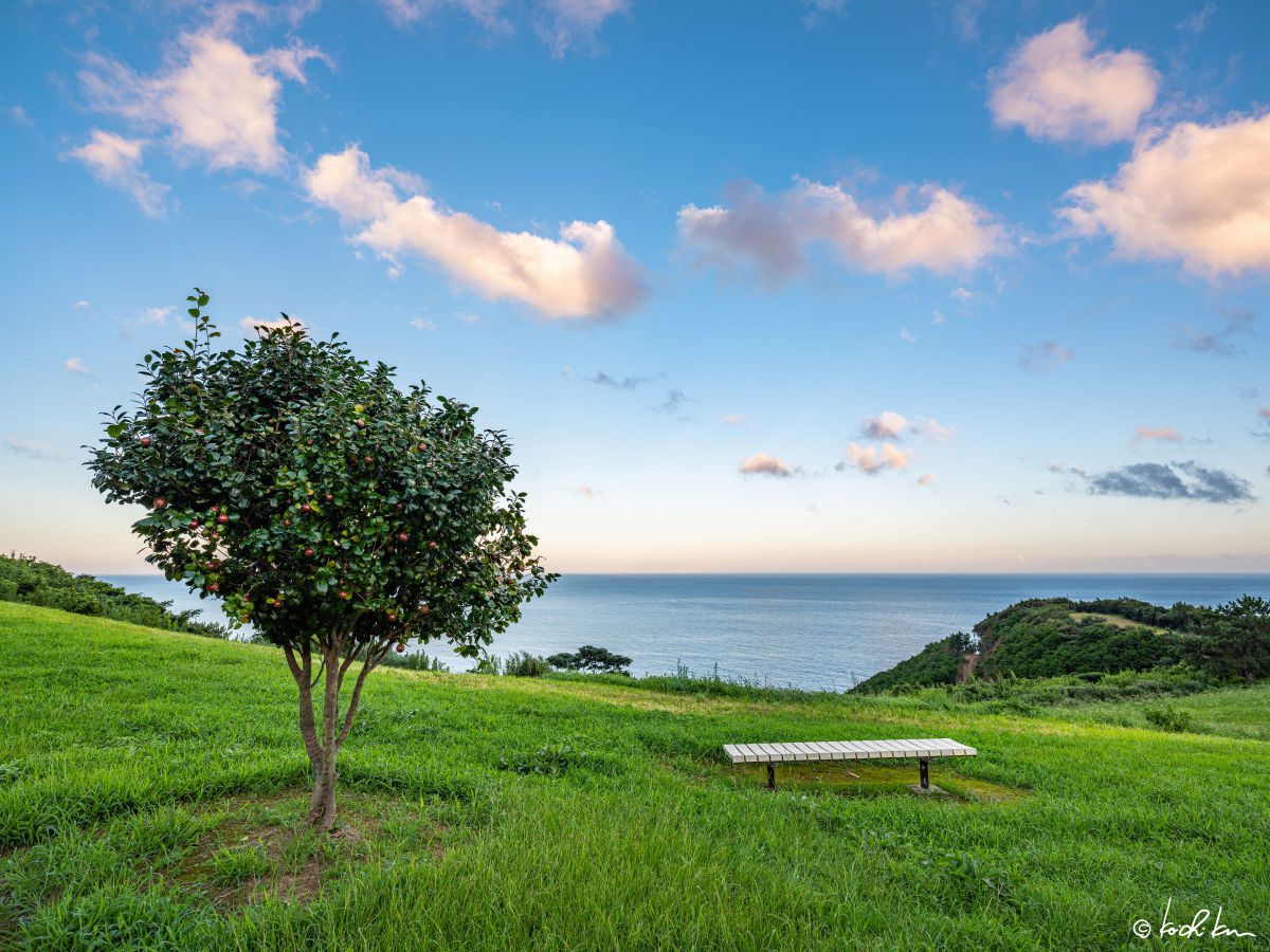 Peaceful day | GANREF