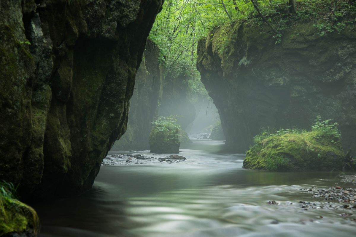 AF-S NIKKOR 24-120mm f/4G ED VRで撮影された写真 | 写真検索 | GANREF