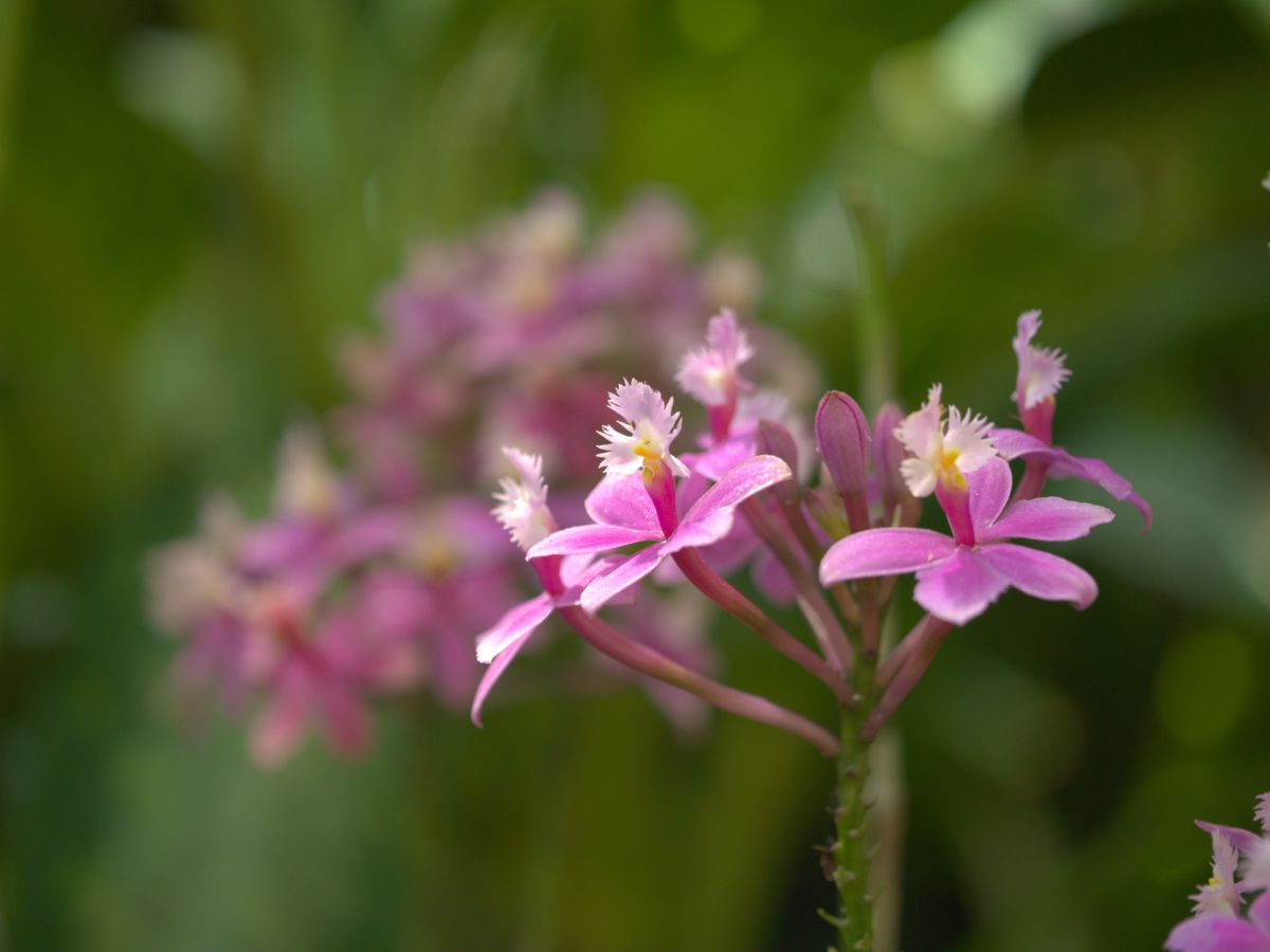 LUMIX DMC-GX8で撮影された写真 | 写真検索 | GANREF